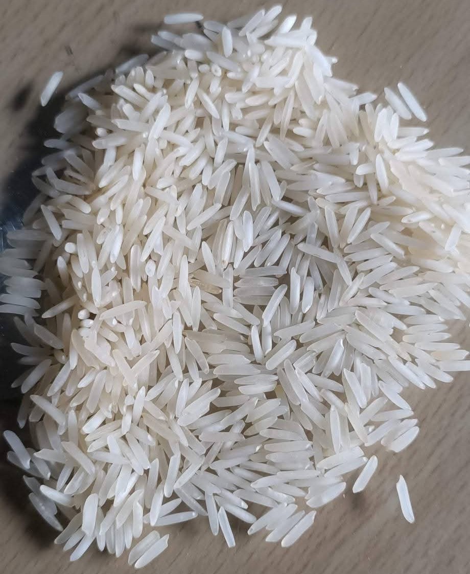 Rice